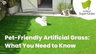 The Most Relevant Details You Should Know About Pet-Friendly Artificial Grass