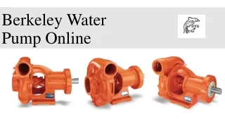Berkeley Water Pump Online