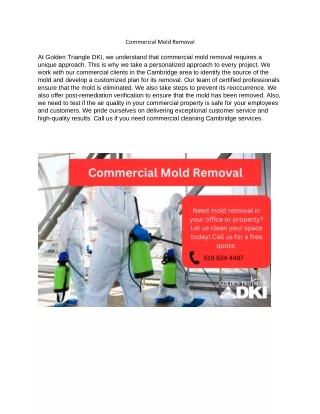 Commercial Mold Removal (GTRS)