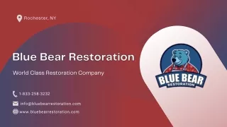 Fire & Water Damage Restoration Company | Blue Bear Restoration