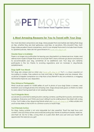 6 Most Amazing Reasons for You to Travel with Your Dog