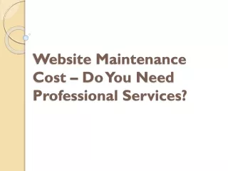 website maintenance cost do you need professional services
