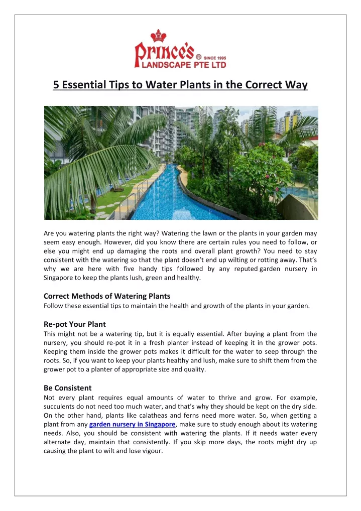 5 essential tips to water plants in the correct