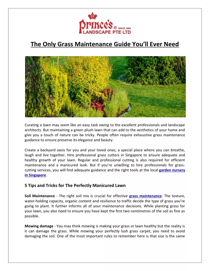 the only grass maintenance guide you ll ever need