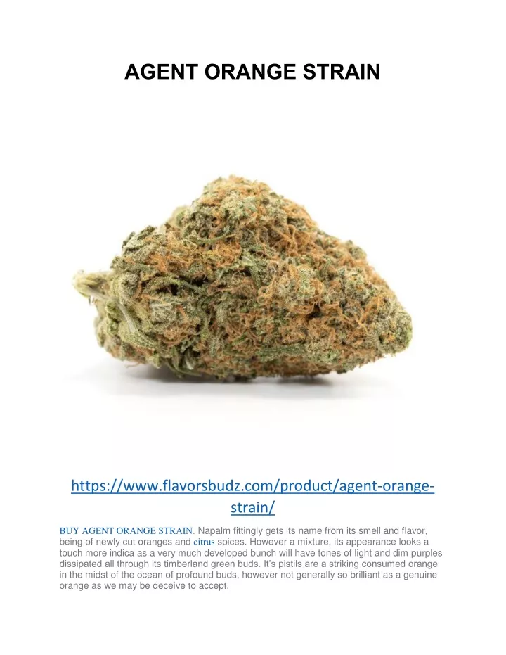 agent orange strain