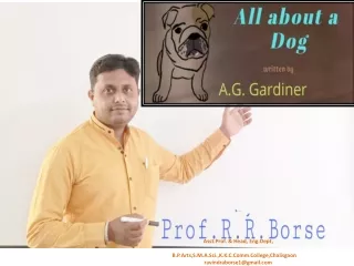 All about a Dog