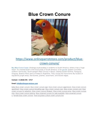 blue crown conure