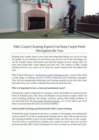 D&G Carpet Cleaning Experts Can Keep Carpet Fresh Throughout the Year