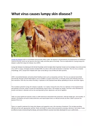 what virus causes lumpy skin disease