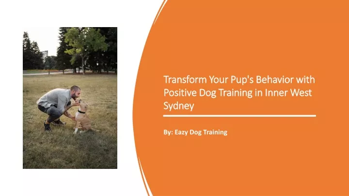 transform your pup s behavior with positive dog training in inner west sydney