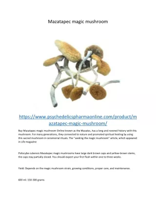 mazatapec magic mushroom