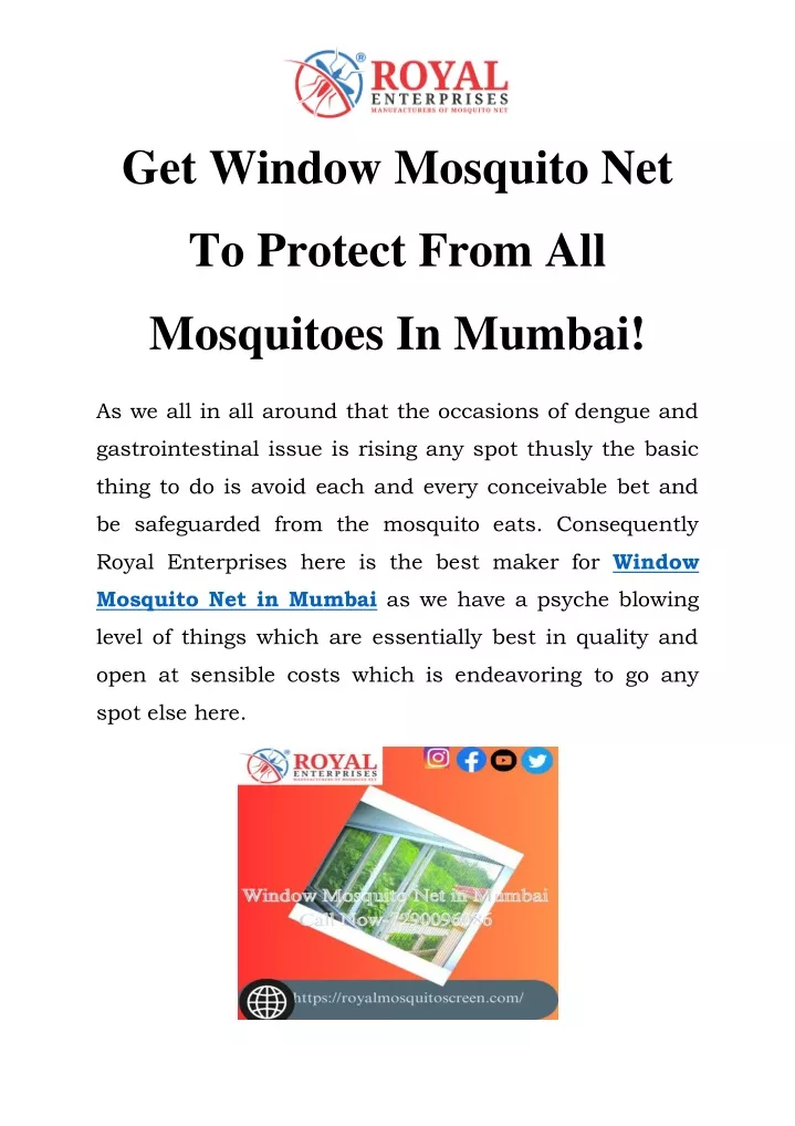 get window mosquito net