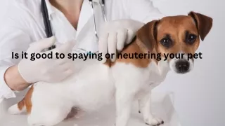 Is it good to spaying or neutering your pet