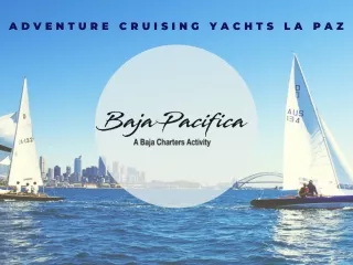 Top Adventure Cruising Yachts La Paz - Bajapacifica USA