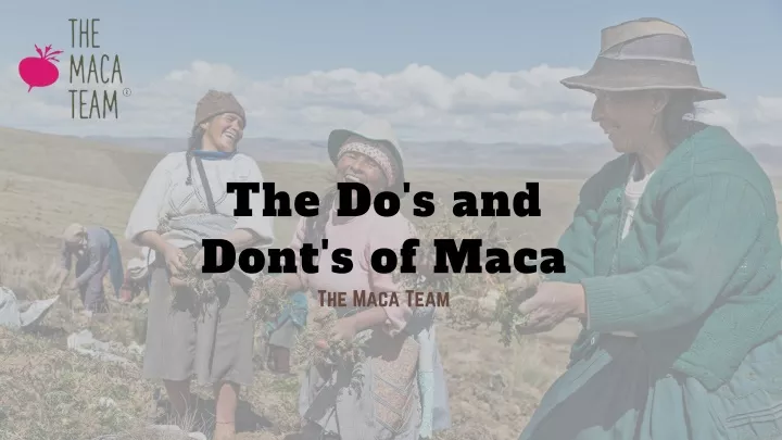 the do s and dont s of maca the maca team