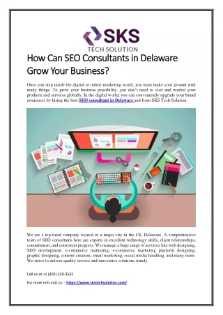 Delaware SEO Consultants  How Can They Grow Your Business