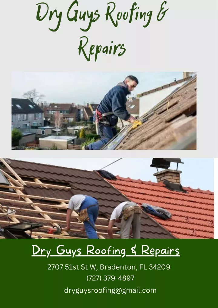 dry guys roofing repairs