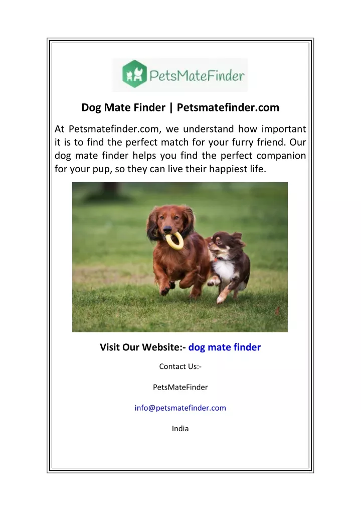 dog mate finder petsmatefinder com