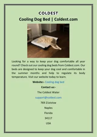 cooling dog bed coldest com
