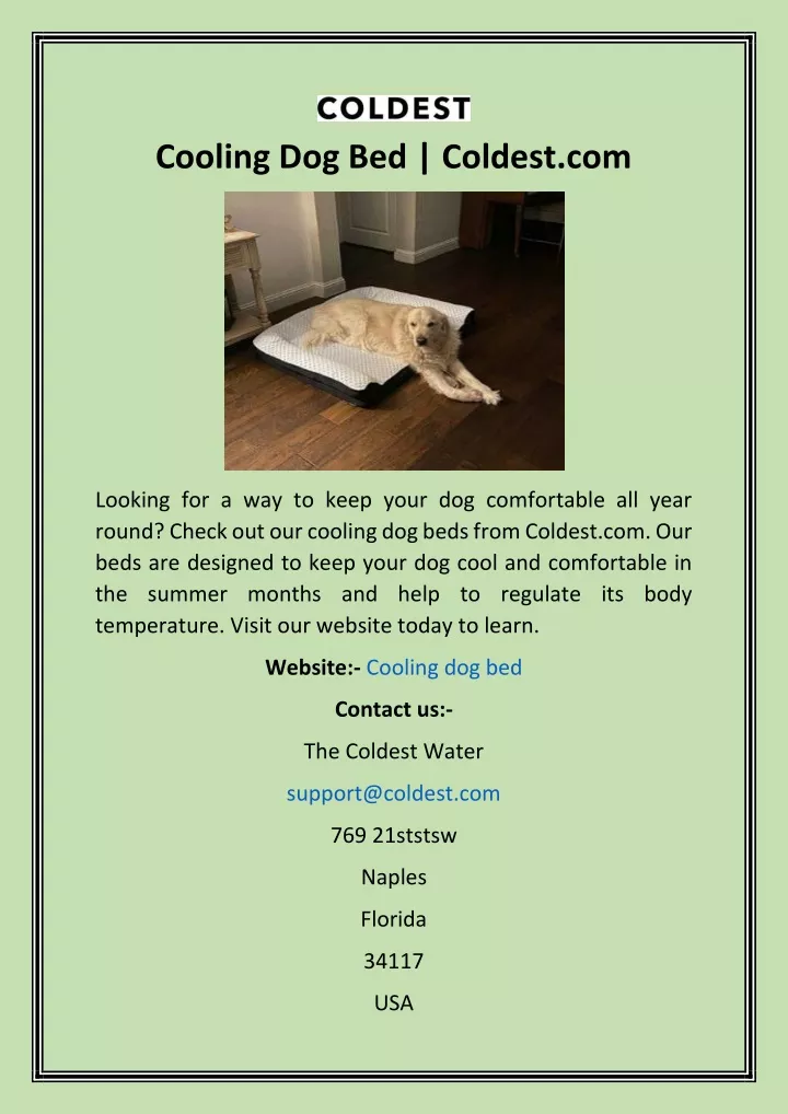 cooling dog bed coldest com