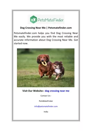 Dog Crossing Near Me  Petsmatefinder.com