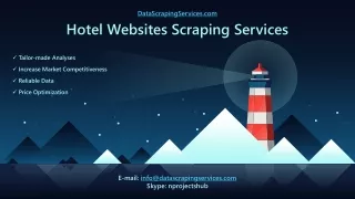 datascrapingservices com