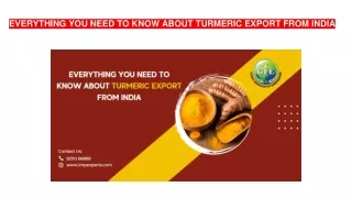 everything you need to know about turmeric export