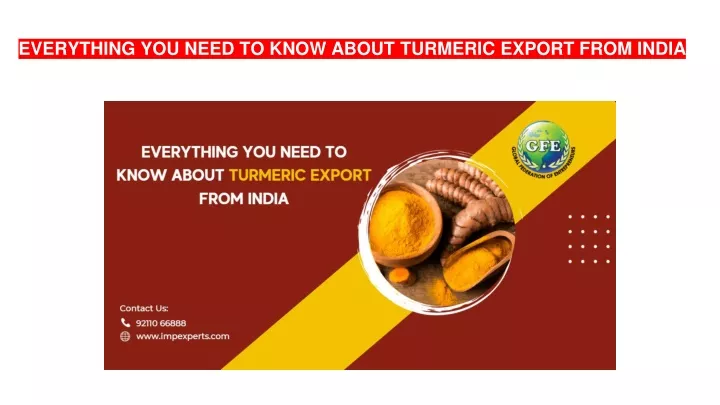 everything you need to know about turmeric export