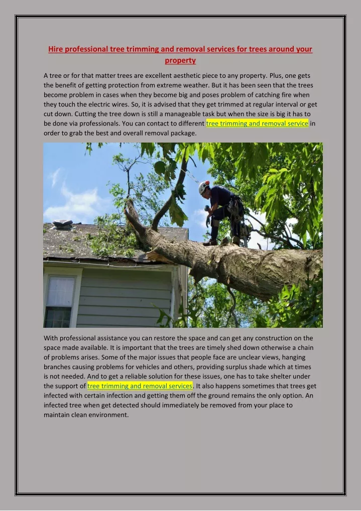 hire professional tree trimming and removal