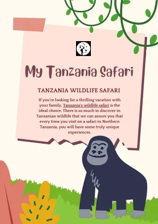 my tanzania safari