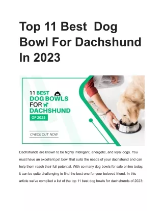 Top 11 Best  Dog Bowl For Dachshund In 2023