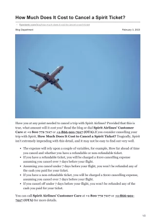 How Much Does It Cost to Cancel a Spirit Ticket? - flyavionic.com-