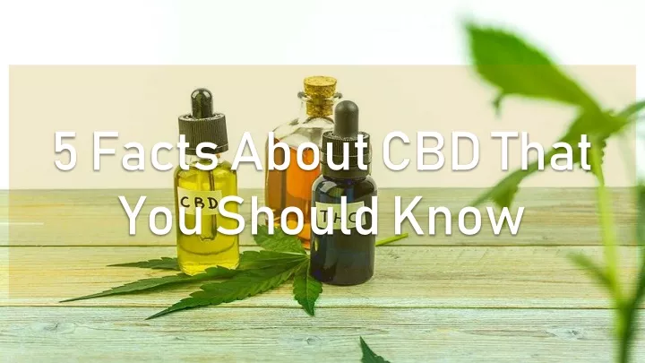 5 facts about cbd that you should know