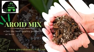 Aroid Mix – Choose only best for your healthy Orchid plants