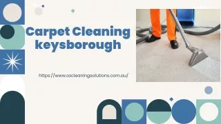 Carpet Steam Vs Dry Carpet Cleaning Keysborough