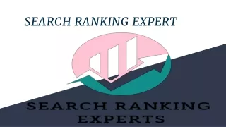 _SEARCH RANKING EXPERT