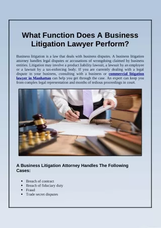 What Function Does A Business Litigation Lawyer Perform?
