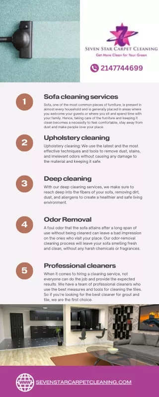 Sofa Cleaning Services for Homes and Businesses