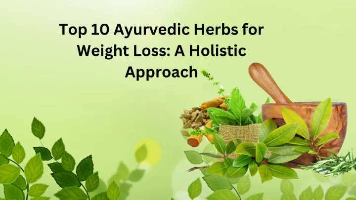 top 10 ayurvedic herbs for weight loss a holistic