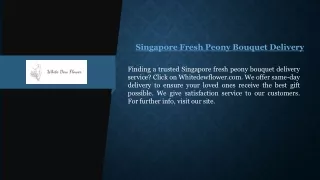 Singapore Fresh Peony Bouquet Delivery   Whitedewflower.com