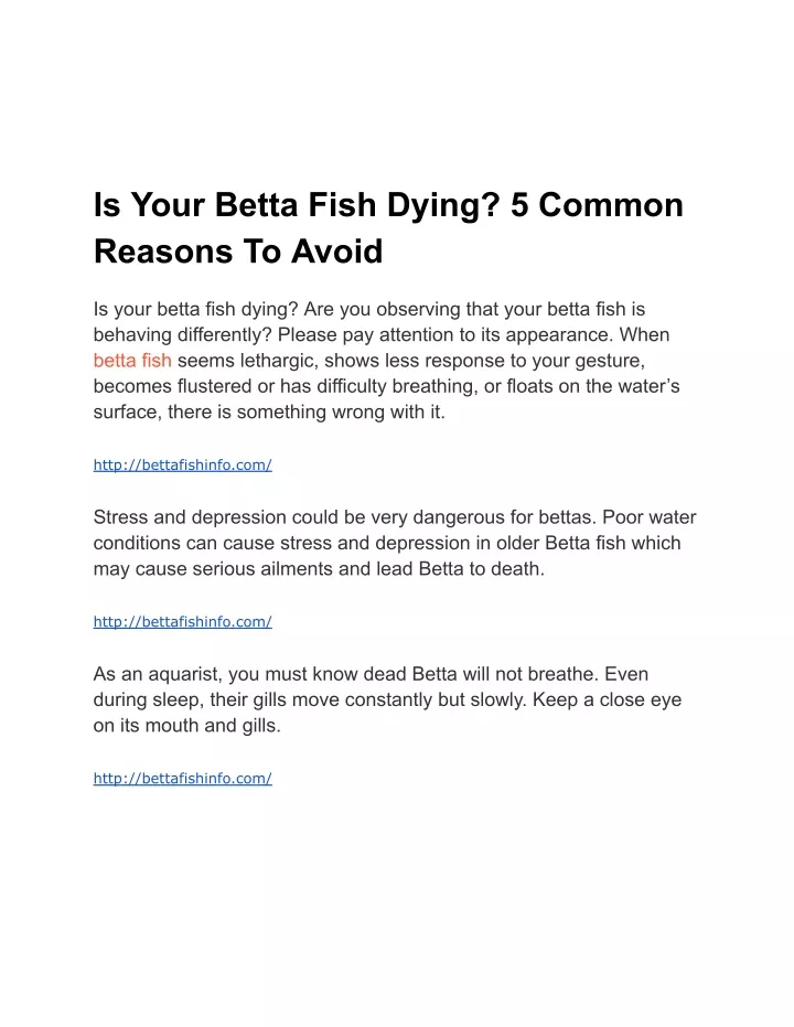 is your betta fish dying 5 common reasons to avoid
