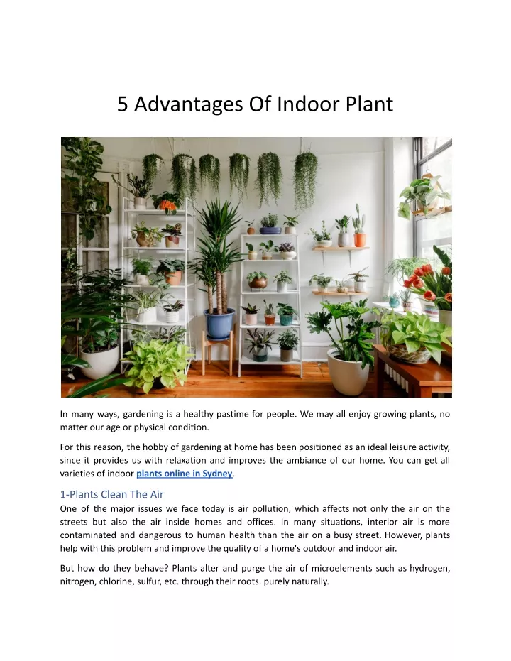 5 advantages of indoor plant