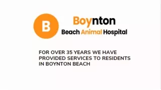 _Boyntonbeachanimalhospital