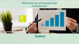 What does an outsourced sales company do?