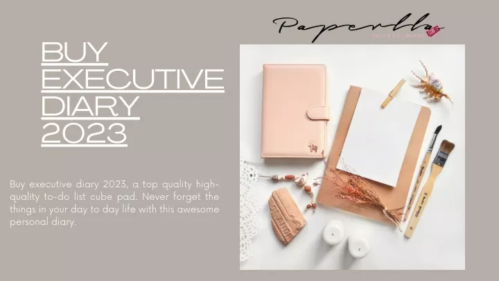 buy executive diary 2023