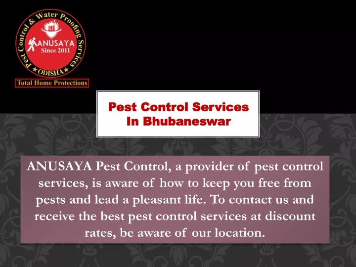 pest control services in bhubaneswar