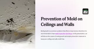 Prevention of Mold on Ceilings and Walls