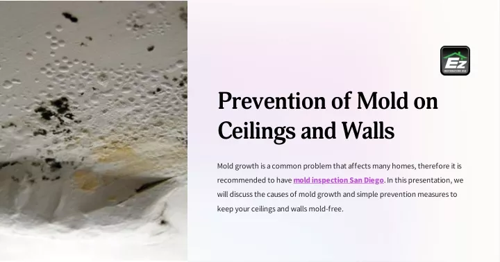 prevention of mold on ceilings and walls