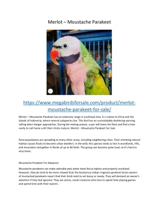 merlot moustache parakeet