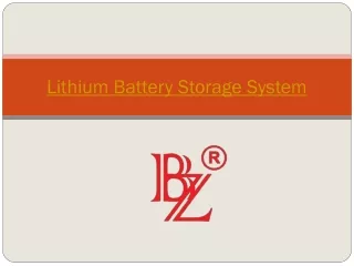 Lithium Battery Storage System